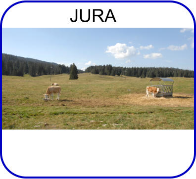 JURA